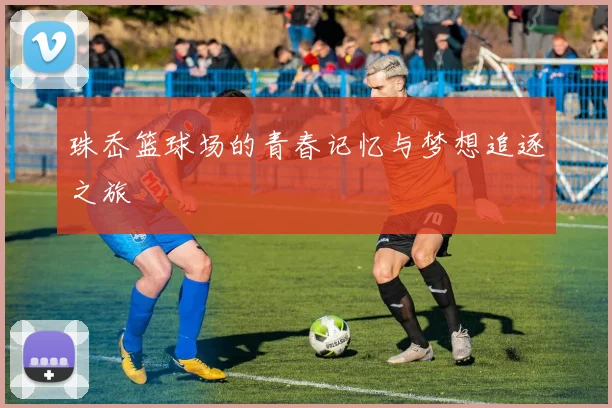 珠岙篮球场的青春记忆与梦想追逐之旅