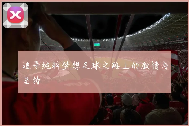 追寻纯粹梦想足球之路上的激情与坚持