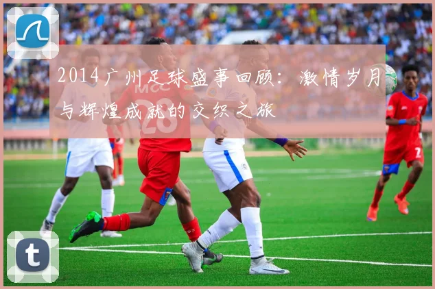 2014广州足球盛事回顾：激情岁月与辉煌成就的交织之旅